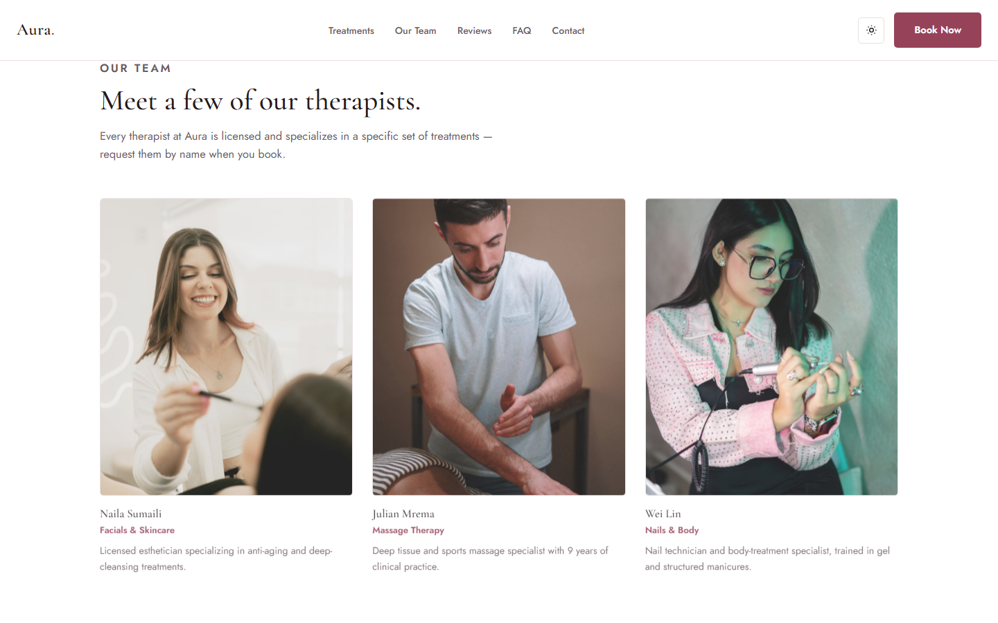 Therapist team section