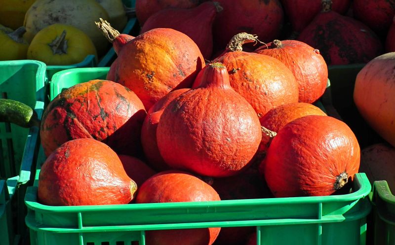 Orange pumpkins piled in green crates