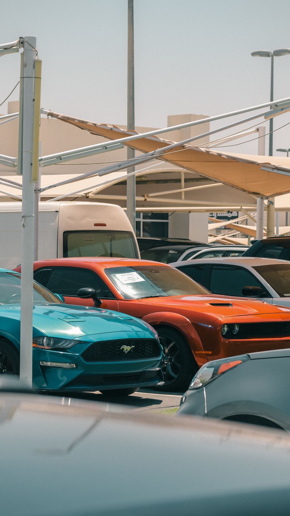 A colourful lineup of muscle cars parked outdoors