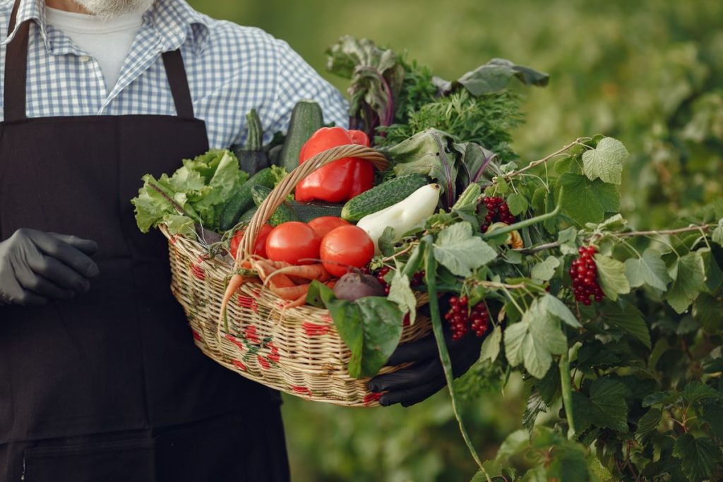A basket of fresh vegetables held by a farmer in an apron