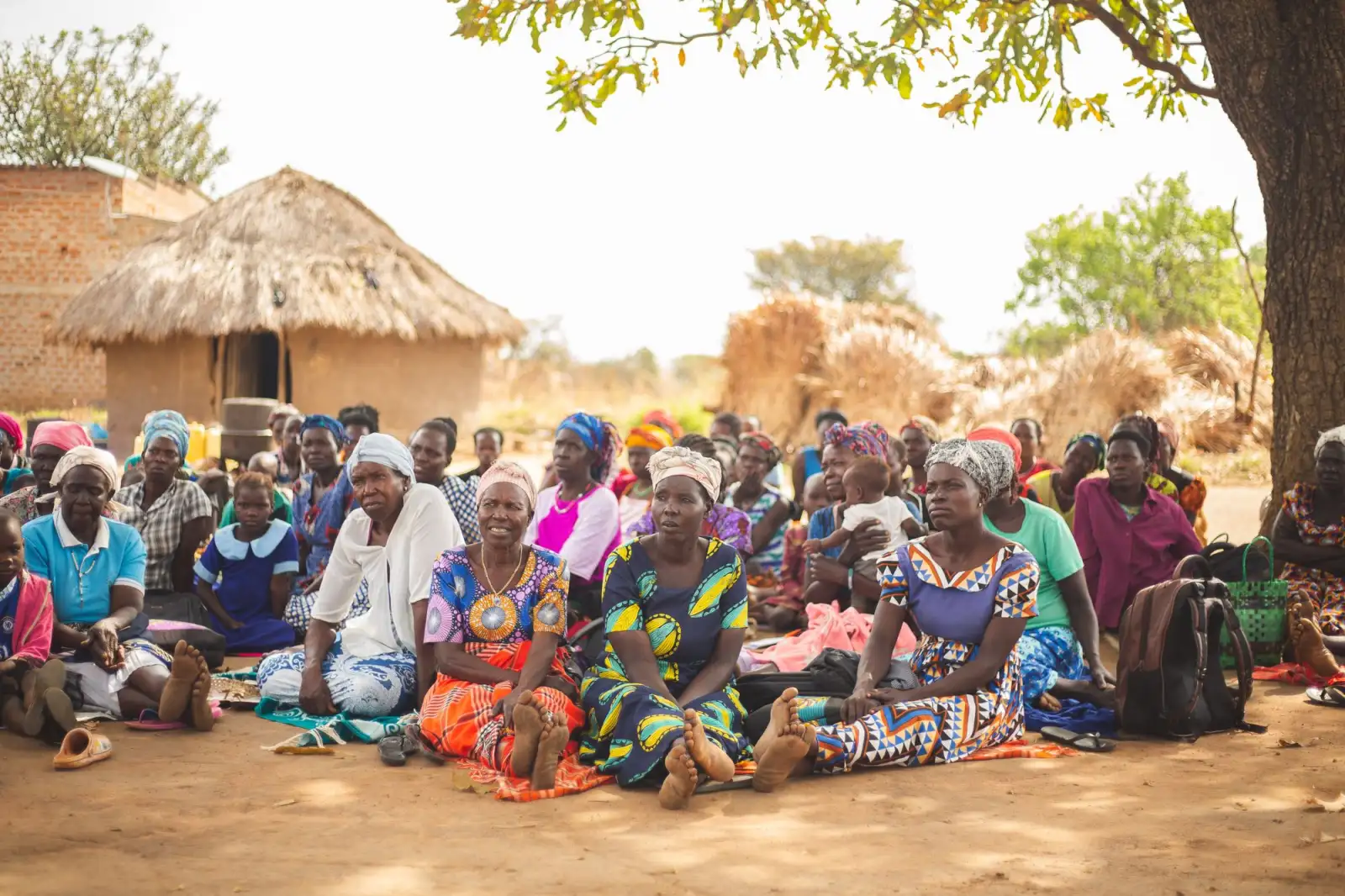 Women, men and children gathered in the shade of a large tree in a village for a community meeting