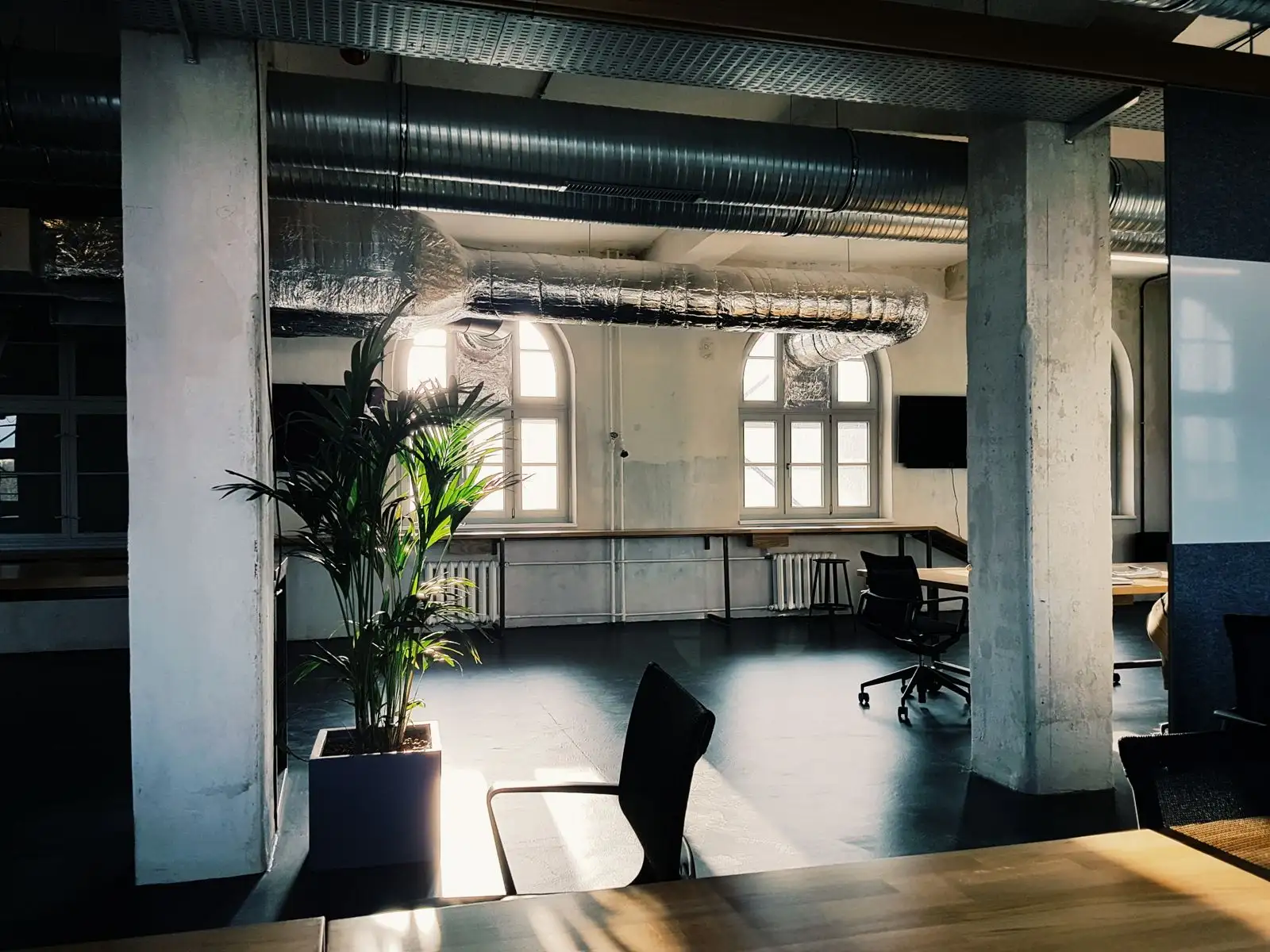 A bare concrete loft workspace with two grey concrete columns, exposed silver ducting, tall arched windows, a potted palm and a black office chair