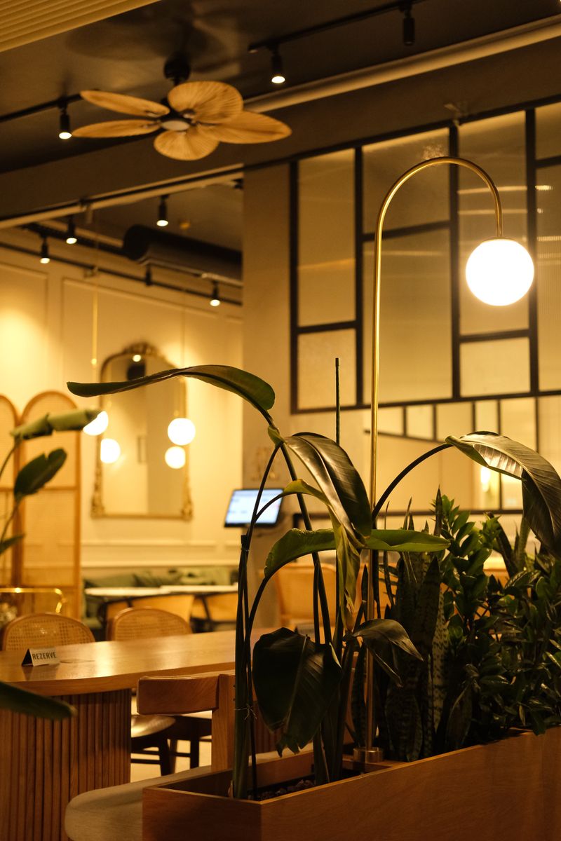 A restaurant lit warmly with tall indoor plants