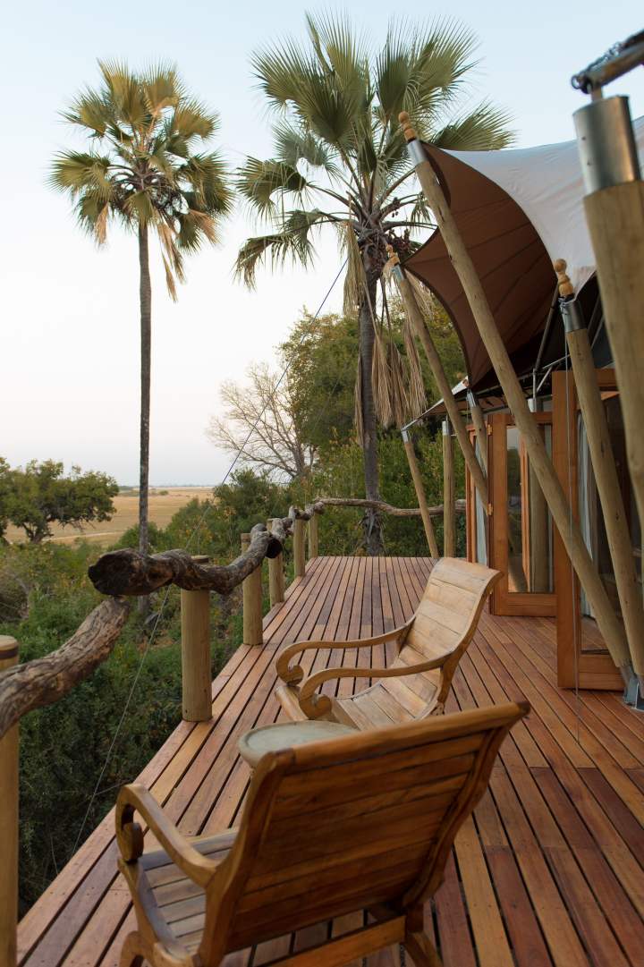 Wooden chairs on a timber deck among palm trees