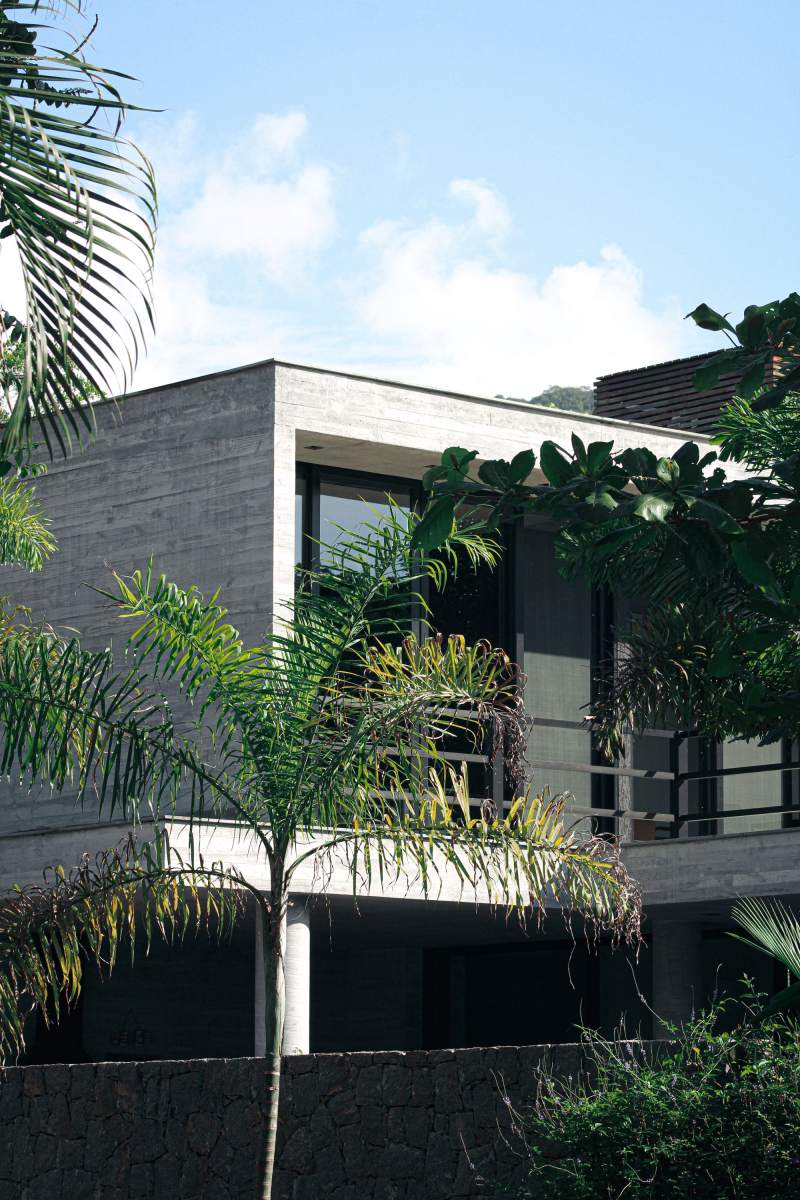 A concrete and glass house behind a palm tree