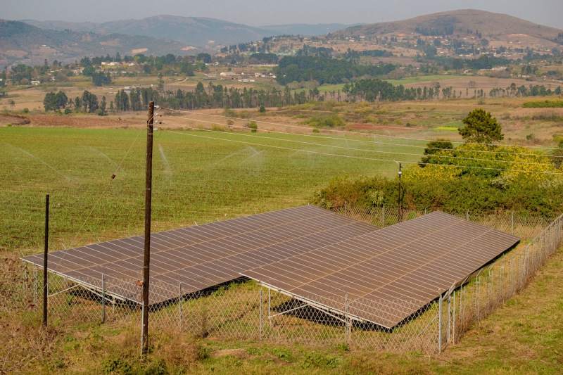 A ground-mounted solar array in a field with a power line beyond