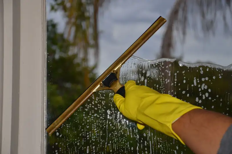 A gloved hand pulls a brass squeegee across a soapy window with palm trees behind it