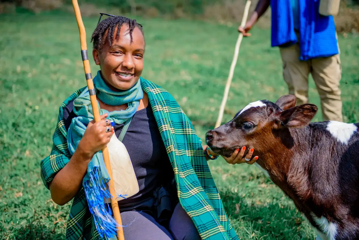 A smiling woman in a green plaid shawl kneels beside a black and white calf that nuzzles her hand