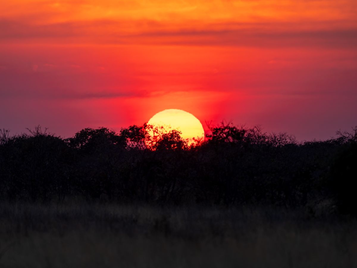 Serengeti sunset during the wildebeest migration